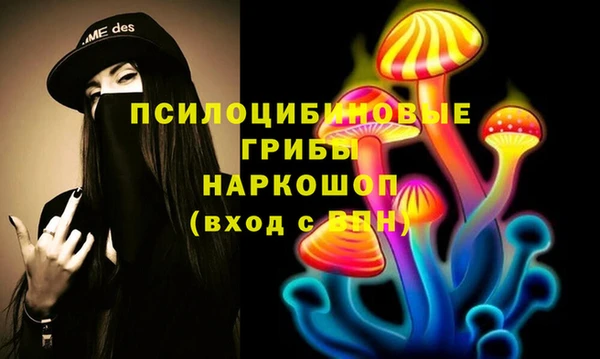 МДПВ Волоколамск