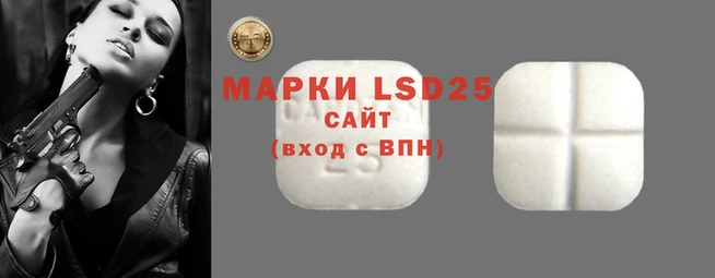стаф Володарск