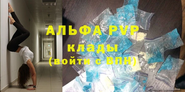 стаф Володарск