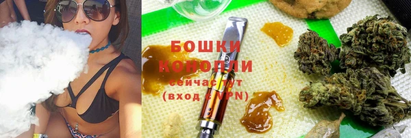 стаф Володарск